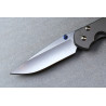 Chris Reeve Small Sebenza 31 Plain